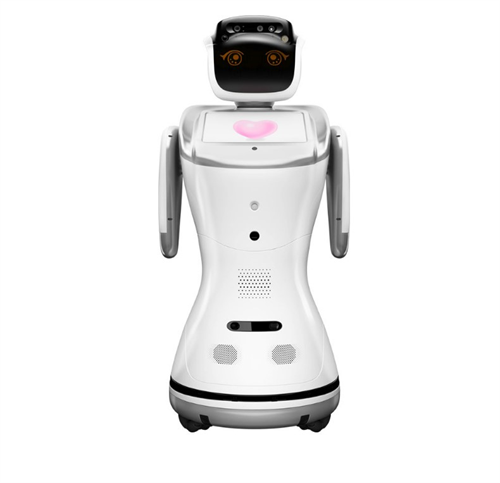 R13自助智能型机器人外观