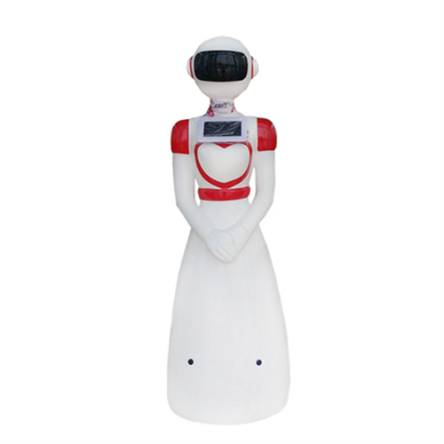 A-R13智能型机器人外观